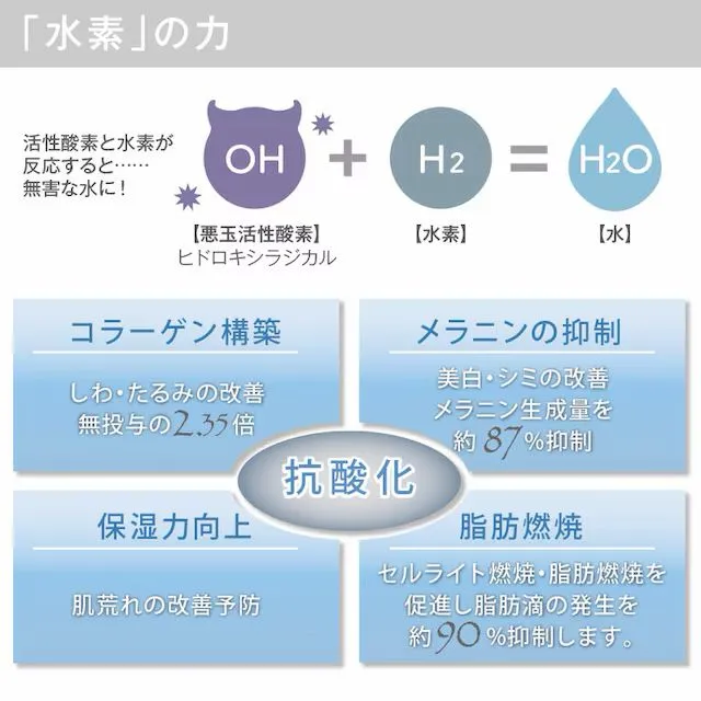 Biest fumie 白金水素回魂水 Fumie the lotion 120ml