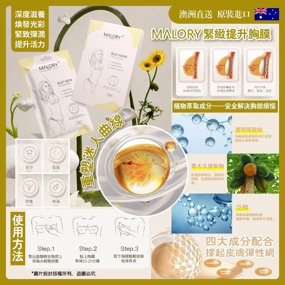 Malory紧实弹力胸膜